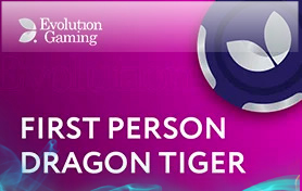 First Person Dragon Tiger